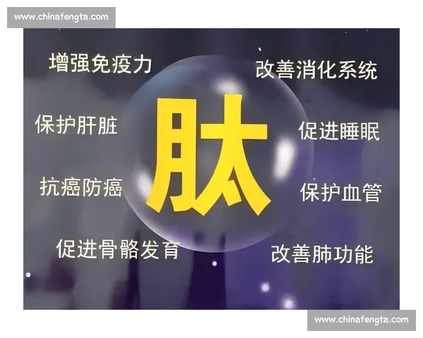 从预防到康复全景解析竞技体育伤病的成因与对策与科学训练心理重建